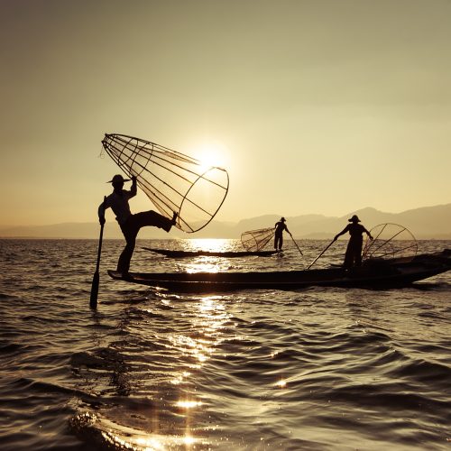 Burmese fisherman on bamboo boat catching fish in traditional way with handmade net. Inle lake, Myanmar (Burma) travel  destination